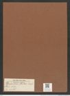Dicladia mitra Bail. (de-Toni-Nr.: Genus 150, Species 4188) Zeichnungen Sammlung Grunow Mappe 04188 (Herbarium_W_Grunow_drawings_Folder_04188)